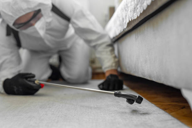 Professional Termite Control technician working in Manhattan, IL