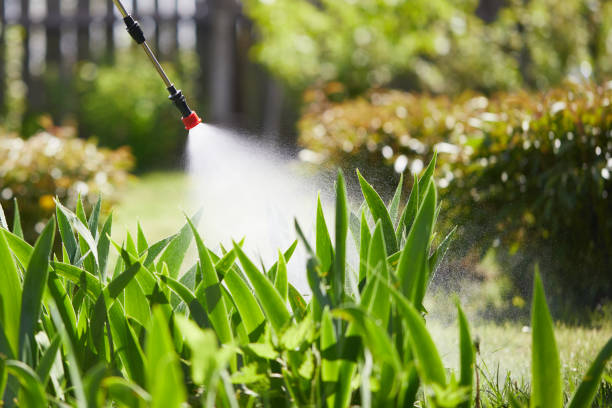 24/7 Emergency Termite Control experts in Manhattan, IL