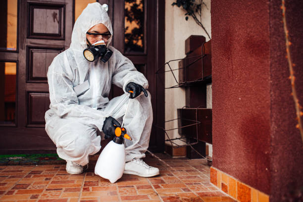 Reliable Termite Control contractor in Manhattan, IL by Nex Pest Control