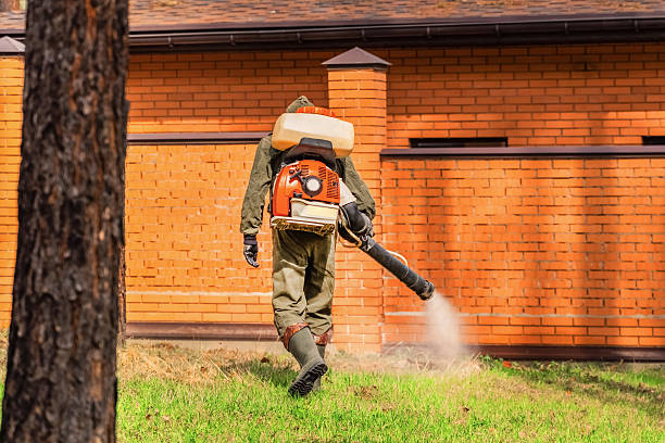 Trusted Mosquito Control service in Manhattan, IL - Nex Pest Control